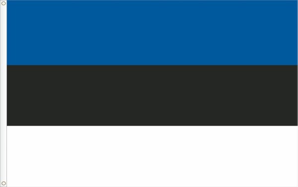 Flag of Estonia. Sinimustvalge