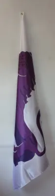 Comprar Bandera del Reino de León  S XI