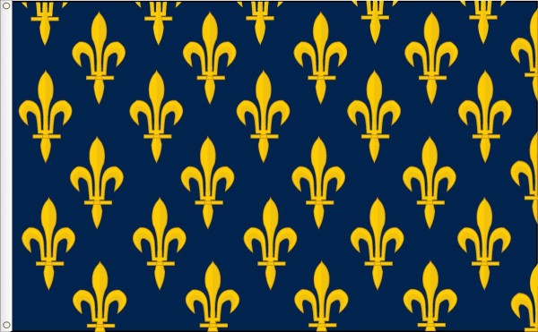 Royal Banner of France Capets   X  XIII ct Size L