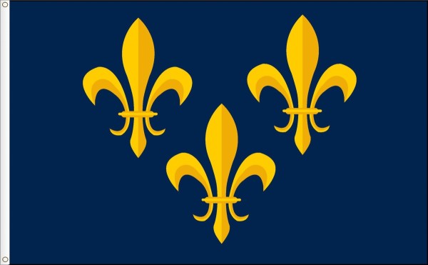 Royal Banner of France Valois   S XIII  XVI  Size L