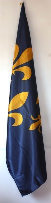 Comprar Royal Banner of France Valois   S XIII  XVI  Size L