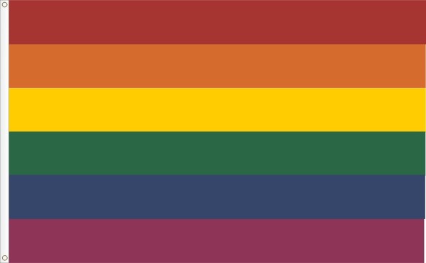Flag of the Gay Movement. Raimbow flag. Size L